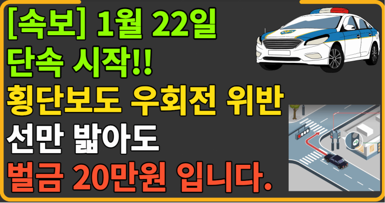 횡단보도 우회전 위반 선만 밟아도 벌금 20만원 입니다.