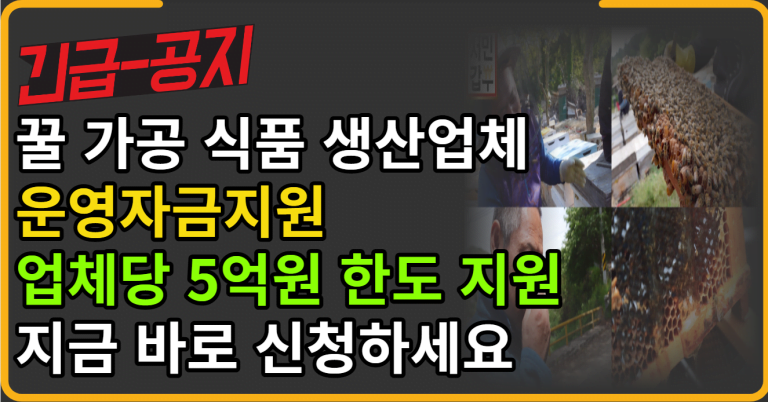 2월 15일 오늘의 소상공인 정부지원사업