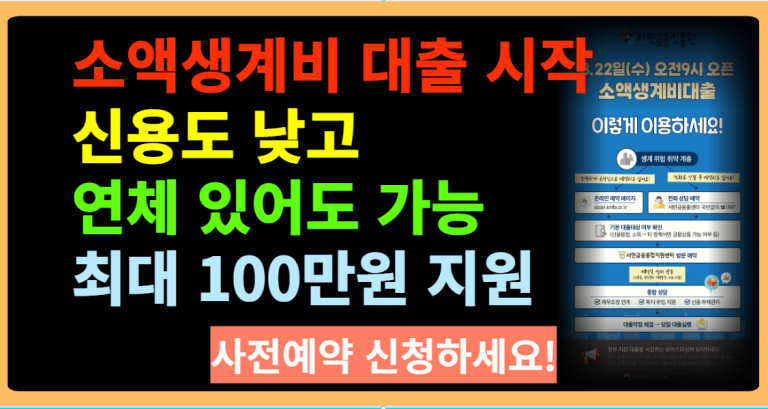 소액 생계비대출 대출 시작 신용도 낮고 연체 있어도 가능 최대 100만원 지원