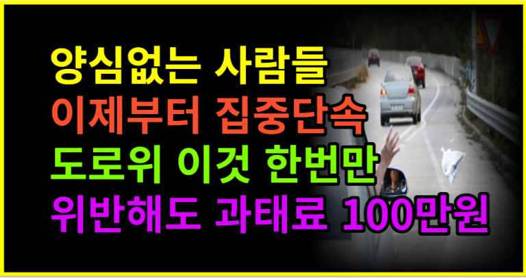 도로에서 이것 한 번만 위반해도 과태료 100만원