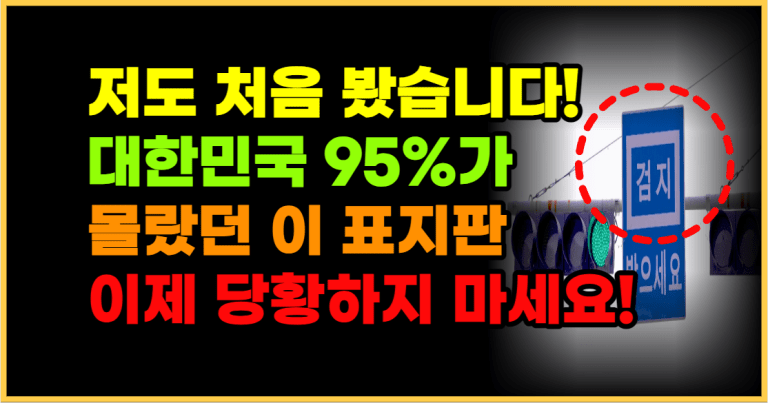 운전자 95%가 몰랐던 이 표지판 모르면 계속 기다려야 합니다!