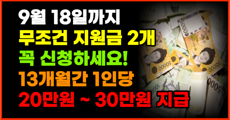 9월 지원금 2개 받아가세요! 1인당 30만원 13개월 간 줍니다!