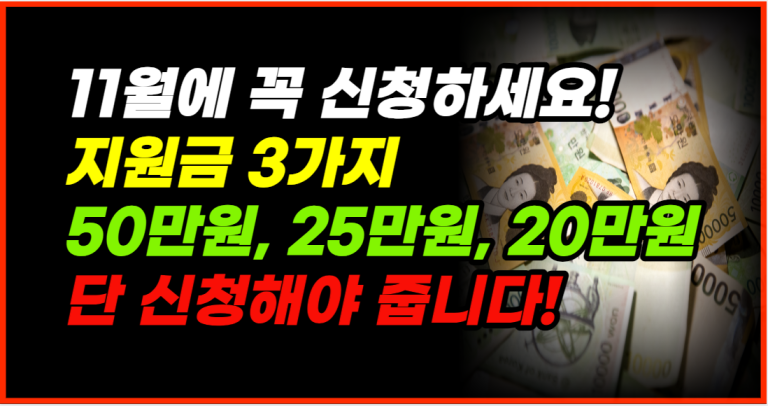 11월 지자체 지원금 3가지 50만원, 25만원, 20만원 신청하세요!