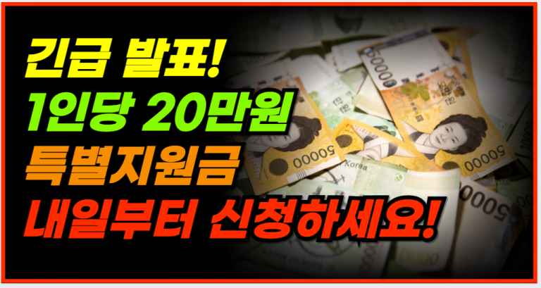 2024년 하반기 특별지원금 신청 방법 및 지원 대상 확인하세요!