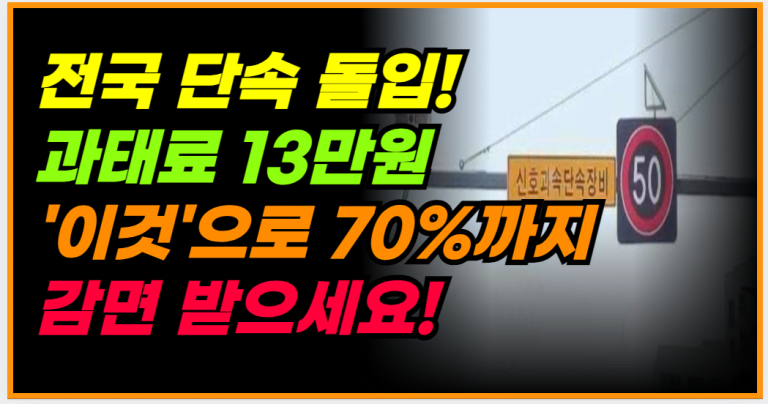 교통 과태료와 범칙금 차이점 최대 70% 감면 받는 법