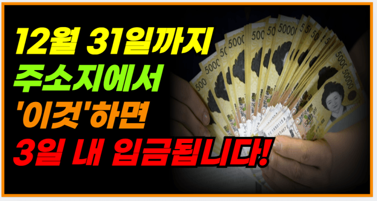 몰라서 못 받으면 손해! 12월 31일 전에 꼭 신청하세요!