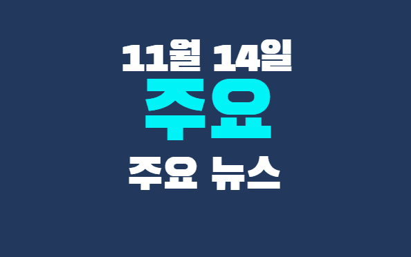 11월 14일 주요뉴스