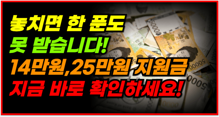 2025년부터 확정된 지원금! 단돈 1원도 놓치지 마세요!