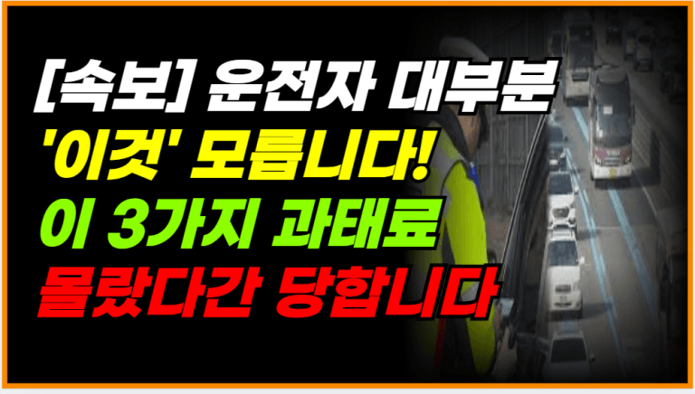 운전자 99%가 모르는 과태료 3가지! 지금 당장 확인하세요