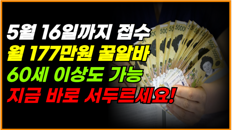 월 177만원 꿀알바, 5월 16일 전 60세 이상도 꼭 신청하세요!