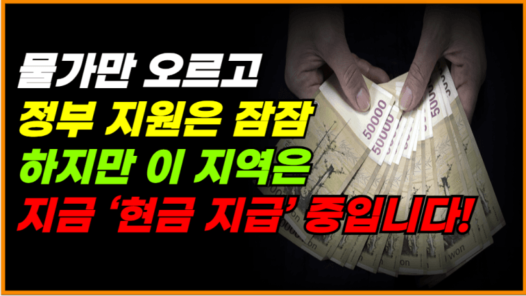 여기 사는 사람만 돈 받습니다! 최대 30만 원 민생지원금 총정리