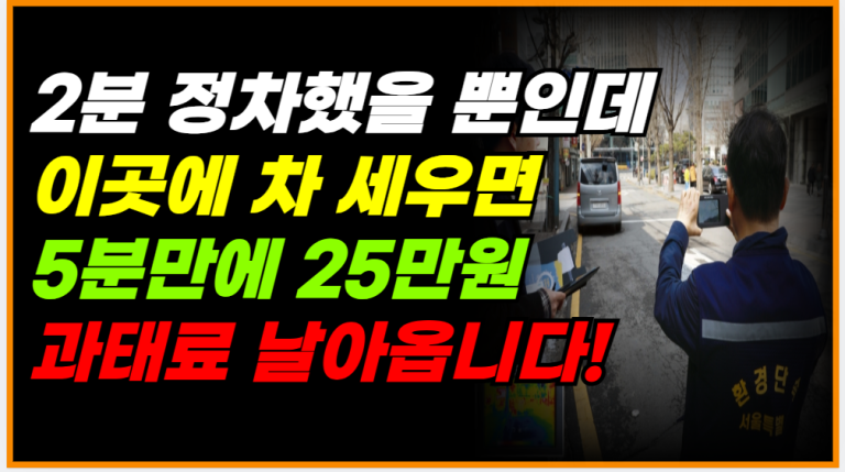 지금 여기 주차하면 2분 뒤 25만원 과태료 바로 나옵니다!!