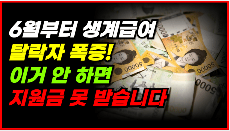 기초수급자 전수조사 시작! 이거 모르면 6월 지원금 전부 끊깁니다