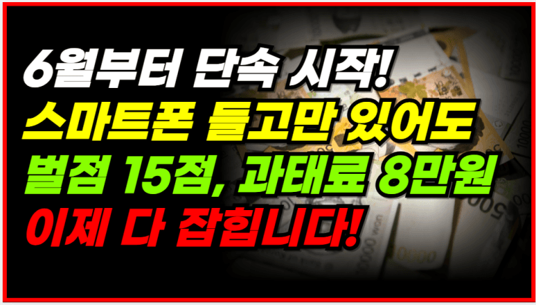 6월부터 이 차량들 단속 시작! 걸리면 과태료 8만원 바로 나옵니다