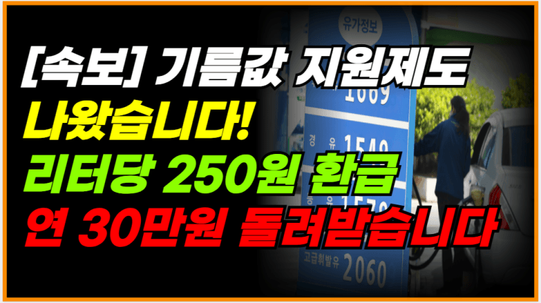 주유비 부담 끝! 리터당 250원 환급, 연 30만원 받으세요