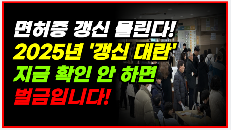 1종·2종 보통 면허증, 8월 안 하면 ‘과태료 폭탄’ 맞습니다!