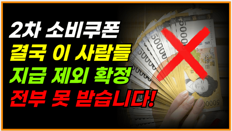 [속보] 결국 안 준다! 2차 민생지원금 탈락자 지금 확인하세요
