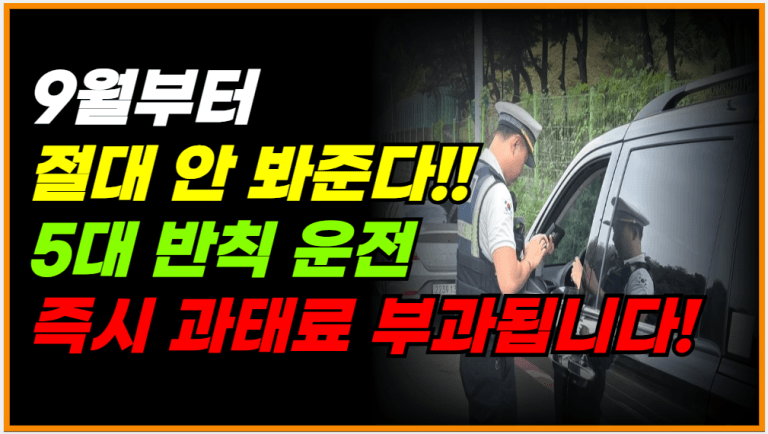 9월부터 강력단속 5대 반칙 운전 절대 안 봐줍니다!