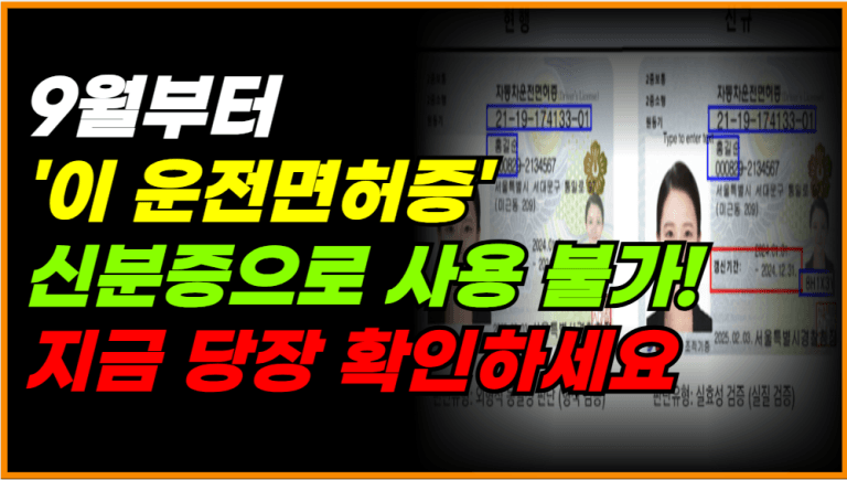 9월부터 무효! 이 운전면허증, 신분증으로 못 씁니다!