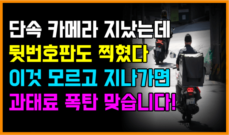 “이젠 앞뒤 다 찍힌다” 후면 무인단속에 157억 과태료 폭탄 주의하세요!