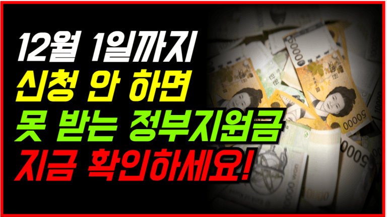 12월 1일 전까지 이거 안 하면 내년까지 못 받습니다!