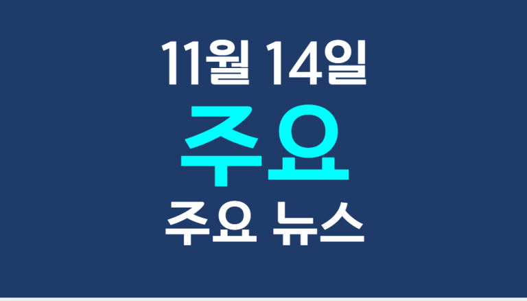 11월 14일 주요뉴스