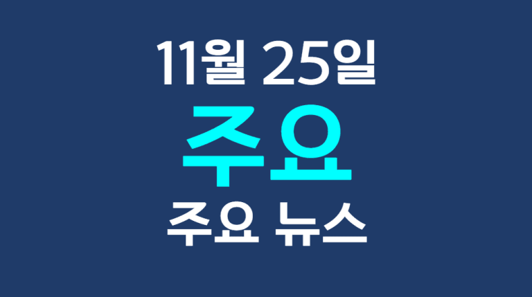 11월 25일 주요뉴스